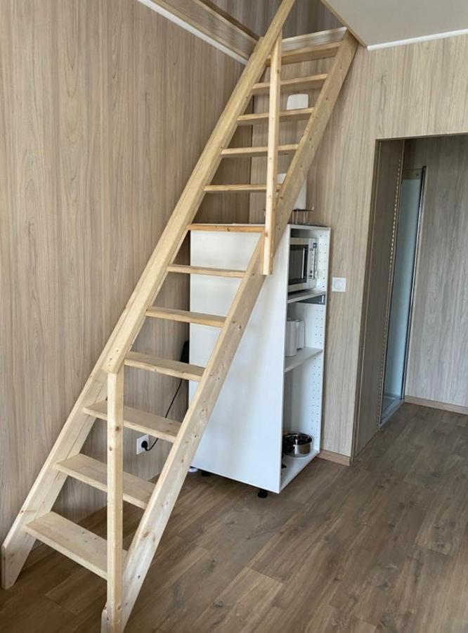 Duplex Atypique En Bois Entre Ville Et Verdures 拉沙佩勒-圣梅曼 外观 照片