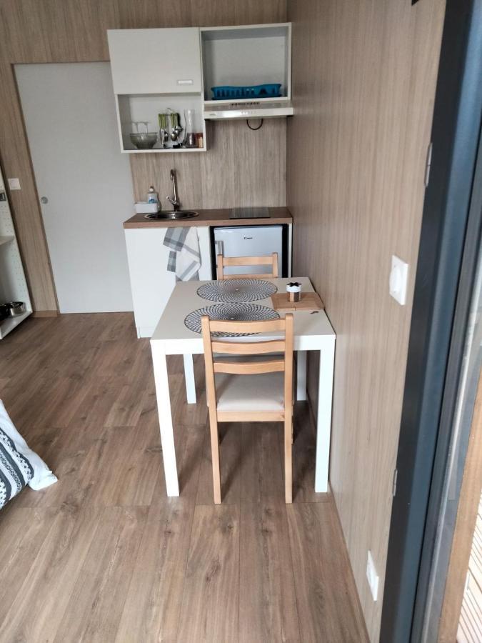 Duplex Atypique En Bois Entre Ville Et Verdures 拉沙佩勒-圣梅曼 外观 照片